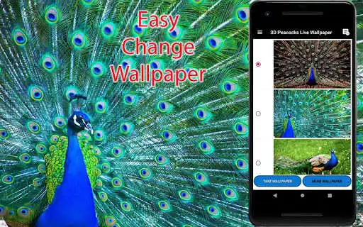 Play 3D Peacock Live Wallpapers as an online game 3D Peacock Live Wallpapers with UptoPlay