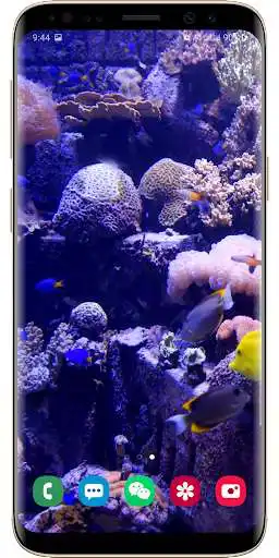 Play 3D Real Aquarium Live Wallpaper and enjoy 3D Real Aquarium Live Wallpaper with UptoPlay Play 3D Real Aquarium Live Wallpaper and enjoy 3D Real Aquarium Live Wallpaper with UptoPlay
