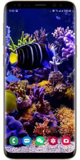 Play 3D Real Aquarium Live Wallpaper as an online game online 3D Real Aquarium Live Wallpaper with UptoPlay com.wallpaper.studio.zhilin.aquarium Play 3D Real Aquarium Live Wallpaper as an online game 3D Real Aquarium Live Wallpaper with UptoPlay