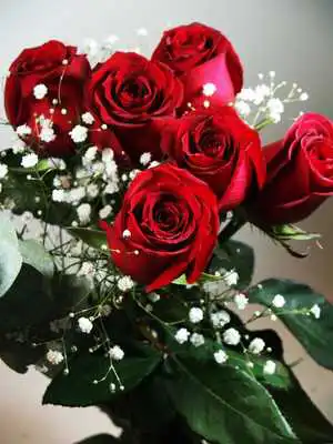 Play 3D Roses wallpaper