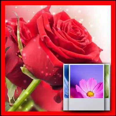 Play 3D Rose  Wallpaper Free