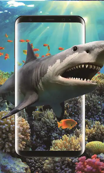 Play 3D Shark in the Live Wallpaper  and enjoy 3D Shark in the Live Wallpaper with UptoPlay