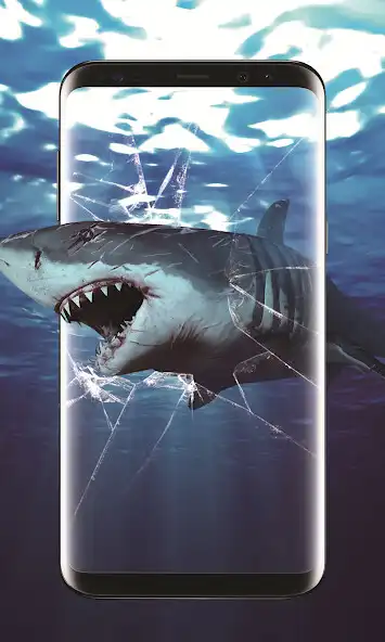 Play 3D Shark in the Live Wallpaper as an online game 3D Shark in the Live Wallpaper with UptoPlay