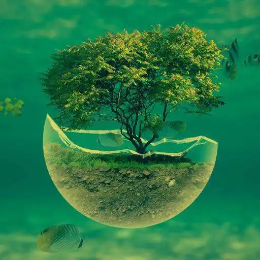 Play 3D Sound Ringtones  and enjoy 3D Sound Ringtones with UptoPlay