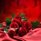 Free play online 3D True Love Red Rose Themes Wallpapers APK