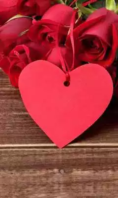 Play 3D True Love Red Rose Themes Wallpapers Play 3D True Love Red Rose Themes Wallpapers