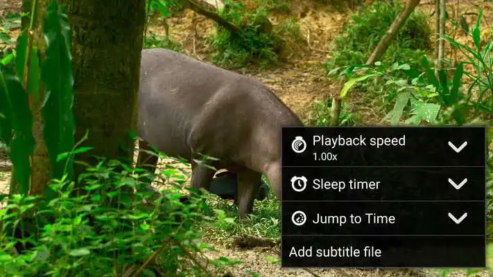 Play 3D Video Player Play 3D Video Player