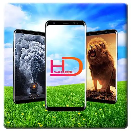 Play 3D Wallpaer APK Play 3D Wallpaer APK