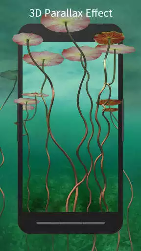 Play 3D Water Lilies Live Wallpaper  and enjoy 3D Water Lilies Live Wallpaper with UptoPlay