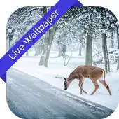 Free play online 3D Winter Nature LWP APK