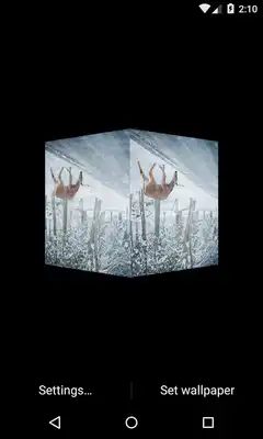 Play 3D Winter Nature LWP