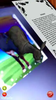 Play 3D Zoo AR