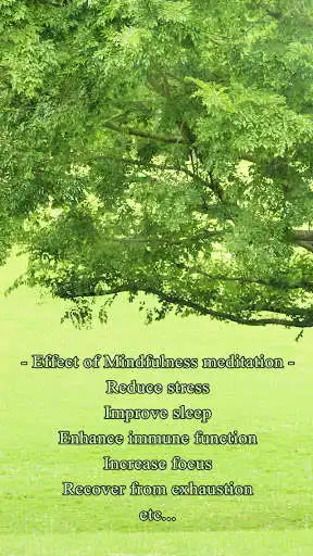 Play 3min. Mindfulness : Meditation Timer  and enjoy 3min. Mindfulness : Meditation Timer with UptoPlay
