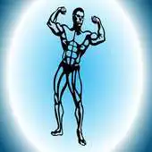 Free play online 3 Minute Workout - Pics APK