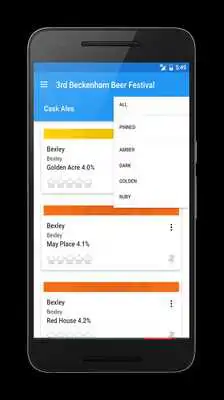 Play 3rd Beckenham Beer Festival