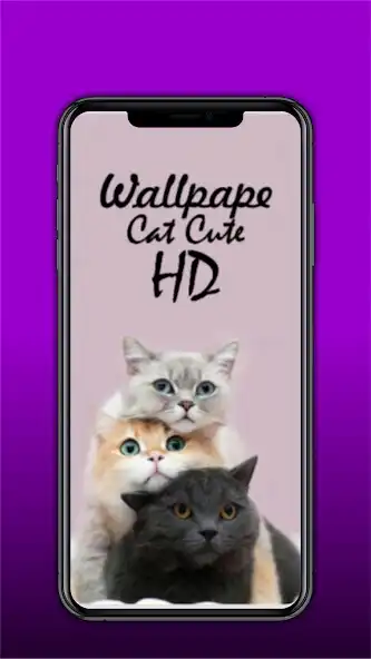 Play 400 Wallpaper Cat Cute HD  and enjoy 400 Wallpaper Cat Cute HD with UptoPlay