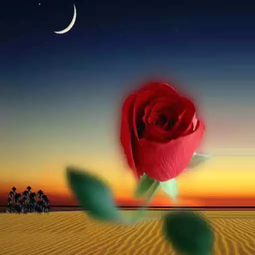 Play 40 Hadis APK Play 40 Hadis APK