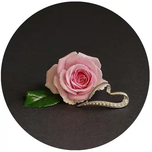 Play 40 Hadis Kewajiban Seorang Istri APK