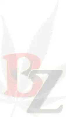 Play 420 BZ