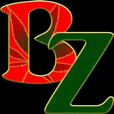 Play 420 BZ