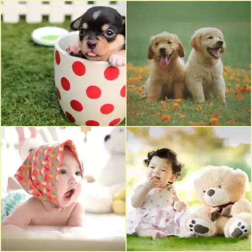 Play 4 Images 1 Word APK Play 4 Images 1 Word APK