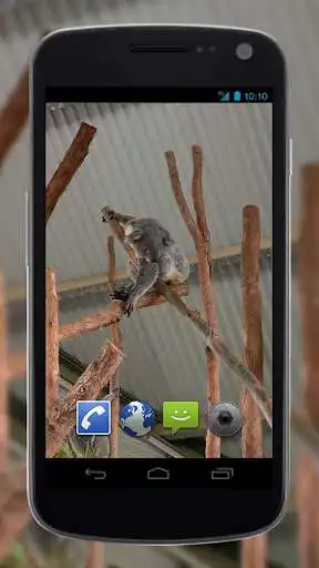 Play 4K Cute Koala Video Live Wallpaper as an online game 4K Cute Koala Video Live Wallpaper with UptoPlay