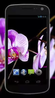 Play 4K Flowers Video Live Wallpaper