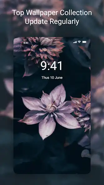 Play 4K Fresh Wallpapers and enjoy 4K Fresh Wallpapers with UptoPlay Play 4K Fresh Wallpapers and enjoy 4K Fresh Wallpapers with UptoPlay