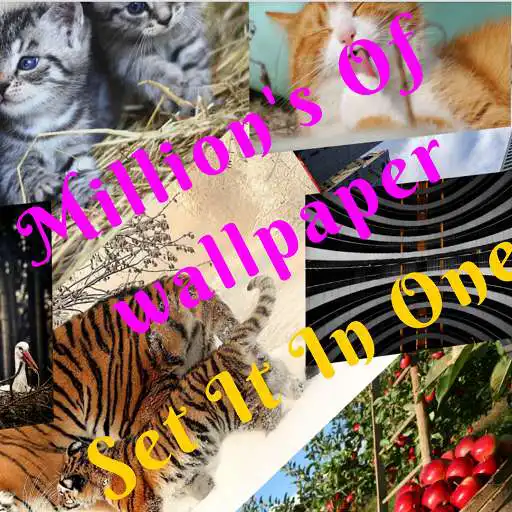 Play 4K High Graphic Wallpapers APK Play 4K High Graphic Wallpapers APK