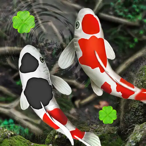Play 4K Koi Fish Live Wallpapers 3D APK Play 4K Koi Fish Live Wallpapers 3D APK