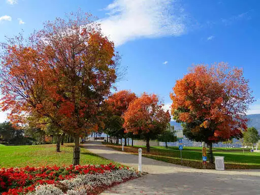Play 4k Nature wallpapers pics HD  and enjoy 4k Nature wallpapers pics HD with UptoPlay