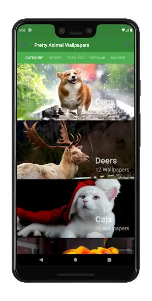 Play 4K Pretty Animal Wallpapers as an online game 4K Pretty Animal Wallpapers with UptoPlay