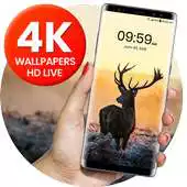 Free play online 4K Pro Wallpaper  4D Backgrounds APK