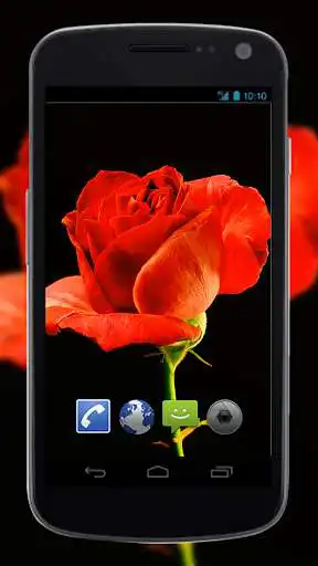 Play 4K Red Rose Video Live Wallpaper as an online game 4K Red Rose Video Live Wallpaper with UptoPlay