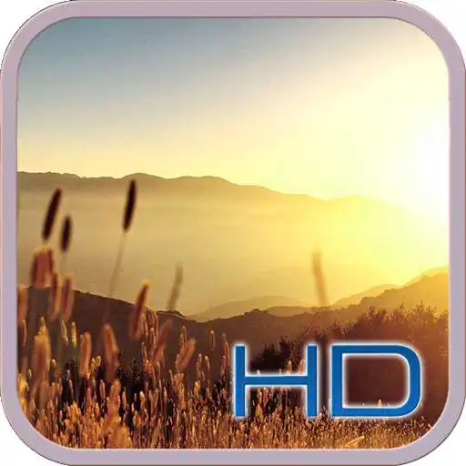 Play 4k Summer Beatiful Wallpaper HD APK