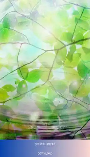Play 4k Summer Beatiful Wallpaper HD  and enjoy 4k Summer Beatiful Wallpaper HD with UptoPlay