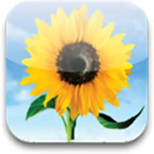Play 4K Wallpapares 2020 APK Play 4K Wallpapares 2020 APK