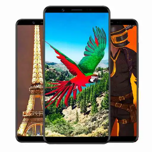 Play 4k wallpaper Auto changer HD APK Play 4k wallpaper Auto changer HD APK
