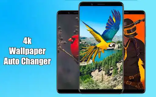 Play 4k wallpaper Auto changer HD  and enjoy 4k wallpaper Auto changer HD with UptoPlay