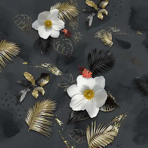 Play 4K Wallpaper HD - Black Gold Daffodil APK Play 4K Wallpaper HD - Black Gold Daffodil APK
