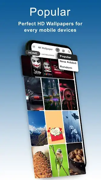 Play 4K Wallpaper Live Backgrounds and enjoy 4K Wallpaper Live Backgrounds with UptoPlay Play 4K Wallpaper Live Backgrounds and enjoy 4K Wallpaper Live Backgrounds with UptoPlay