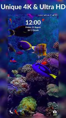 Play 4K Wallpapers - Auto Live Wallpaper Changer