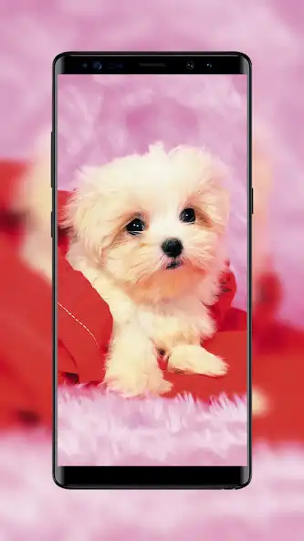 Play 4K Wallpapers in HD, Live as an online game online 4K Wallpapers in HD, Live with UptoPlay Play 4K Wallpapers in HD, Live as an online game 4K Wallpapers in HD, Live with UptoPlay