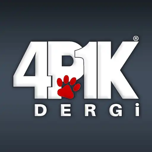 Play 4P1K Dergi APK Play 4P1K Dergi APK
