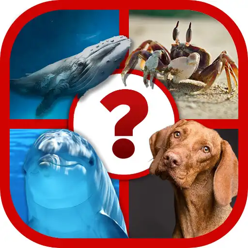 Play 4 Pics Animal Quiz APK Play 4 Pics Animal Quiz APK