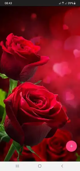 Play 50000 Nature Wallpapers  and enjoy 50000 Nature Wallpapers with UptoPlay