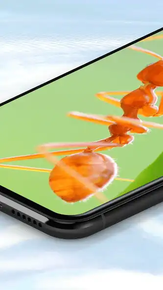 Play 500+ Ants Wallpaper  and enjoy 500+ Ants Wallpaper with UptoPlay