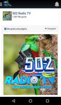 Play 502 Radio TV Play 502 Radio TV
