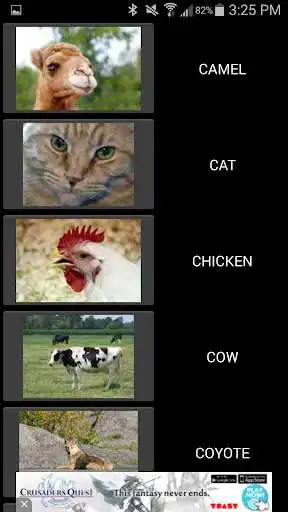 Play 50 Animal Sounds