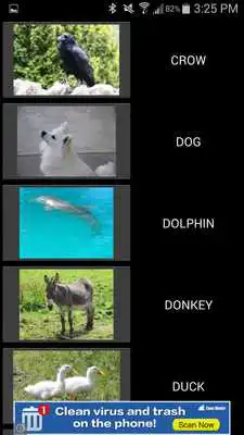 Play 50 Animal Sounds